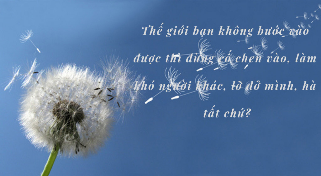 Ảnh quotes về cuộc sống 1 Ảnh quotes về cuộc sống 1