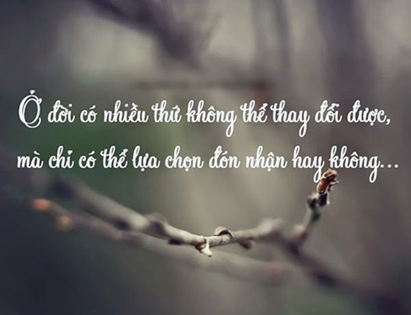 Ảnh quotes về cuộc sống 3 Ảnh quotes về cuộc sống 3