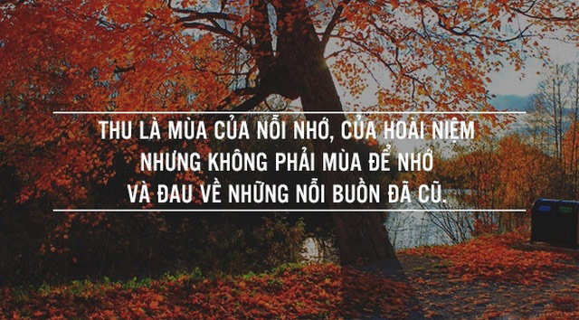 Quotes mùa thu 1
