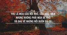 Những câu quotes về mùa thu hay, sâu sắc, ý nghĩa nhất