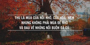 Những câu quotes về mùa thu hay, sâu sắc, ý nghĩa nhất