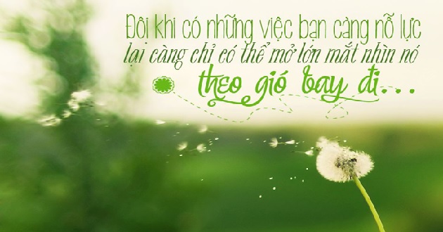 Trích dẫn hay Trích dẫn hay