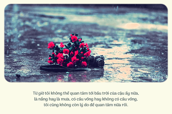 Câu nói hay về mưa (Ảnh quotes) Câu nói hay về mưa (Ảnh quotes)