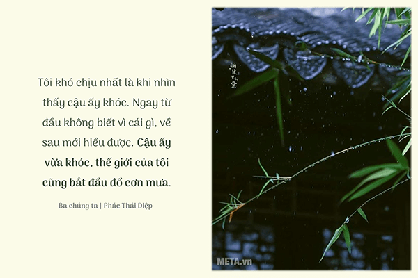 Câu nói hay về mưa (Ảnh quotes) Câu nói hay về mưa (Ảnh quotes)