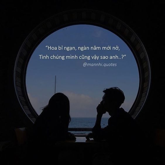 Ảnh quotes buồn Ảnh quotes buồn