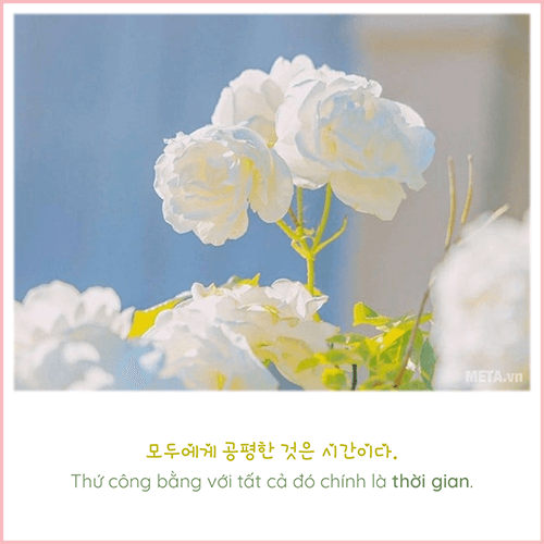 Ảnh quotes tiếng Hàn Ảnh quotes tiếng Hàn