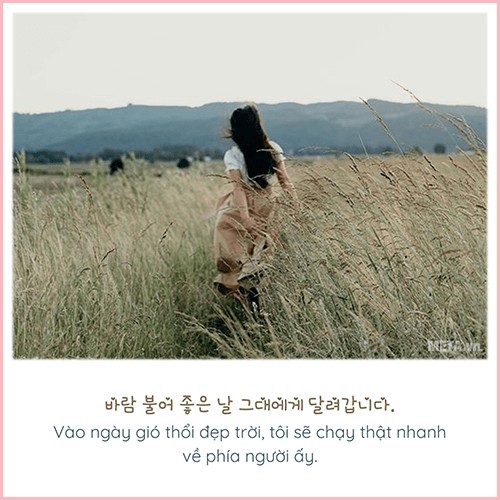 Ảnh quotes tiếng Hàn Ảnh quotes tiếng Hàn