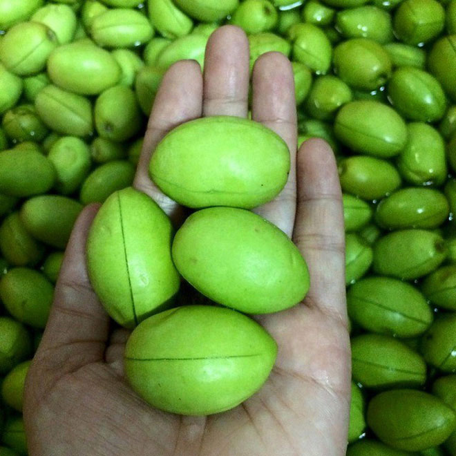 Tìm hiểu cà na là quả gì