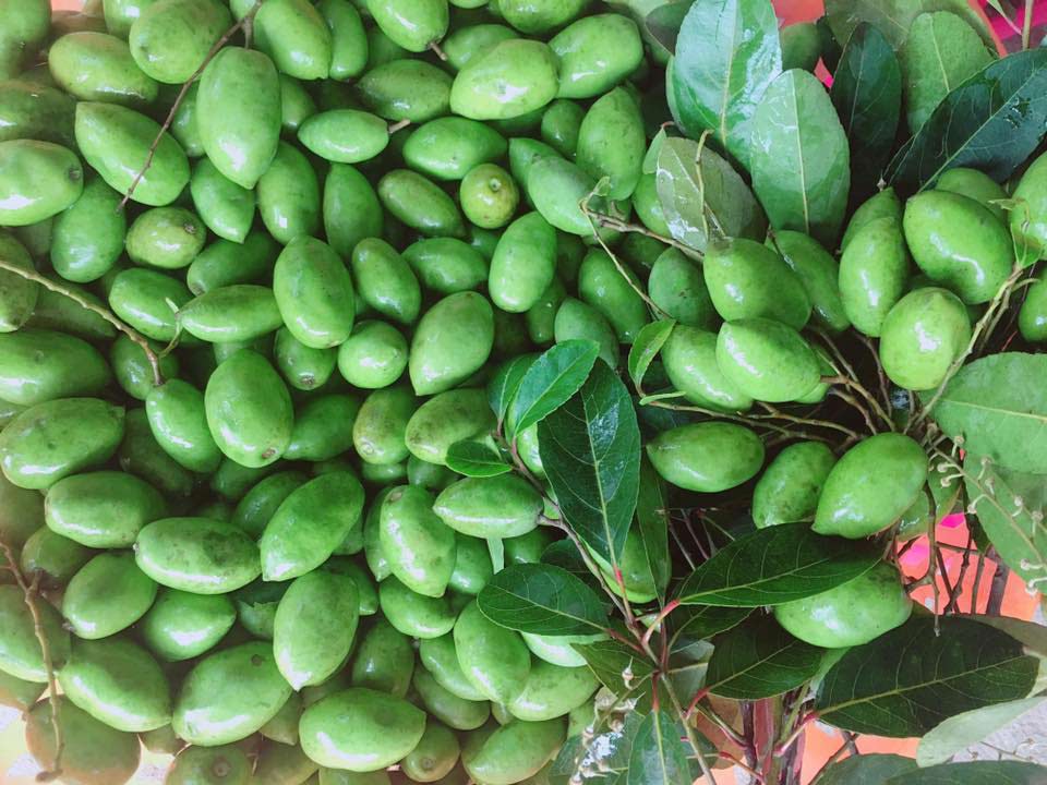 Tác dụng của quả cà na