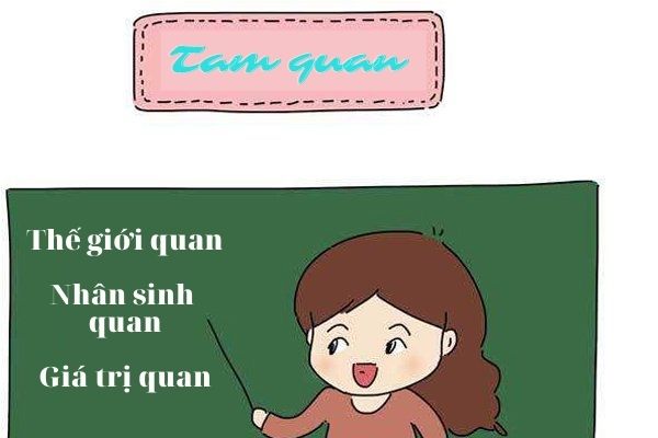 Tam quan là gì? Tam quan là gì?