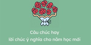 Những lời chúc mừng lễ khai giảng năm học mới hay nhất