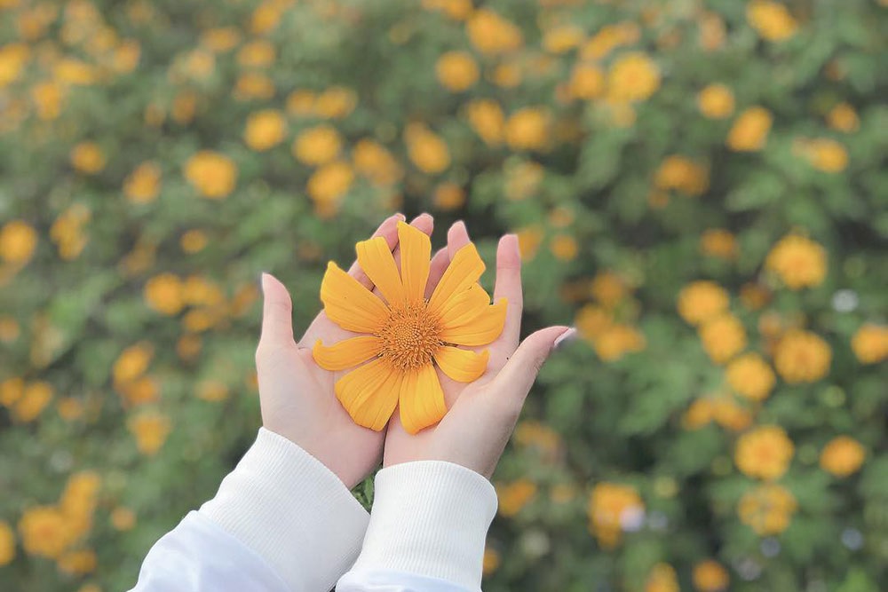 Chào tháng 10 Ảnh chào tháng 10