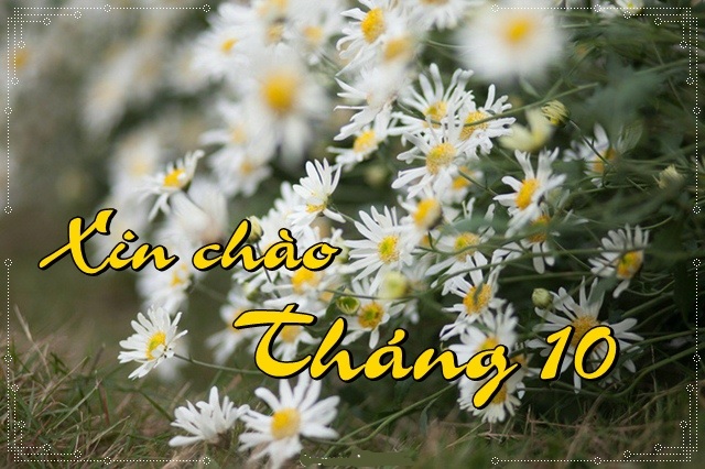 Chào tháng 10 Ảnh xin chào tháng 10