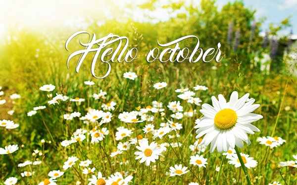 Chào tháng 10 Ảnh về chào tháng 10