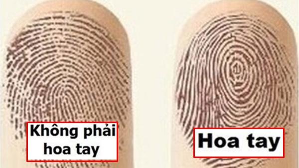 Hoa tay là gì? Hoa tay nói lên điều gì Hoa tay là gì? Hoa tay nói lên điều gì