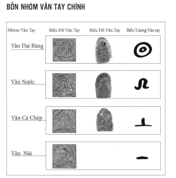 Lấy mầu và xác định nhóm cho vân tay của bạn Lấy mầu và xác định nhóm cho vân tay của bạn