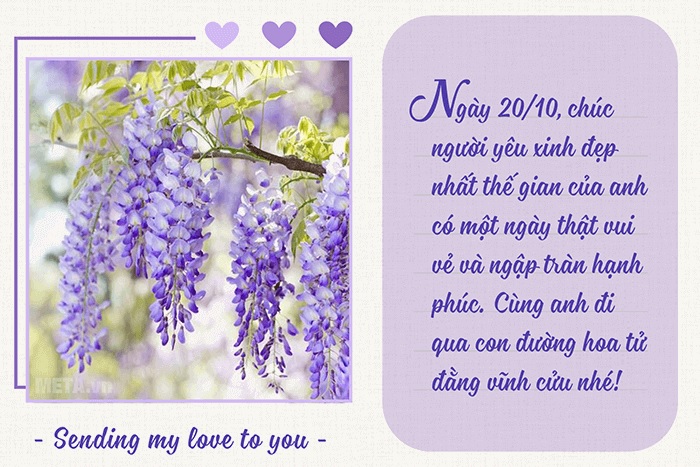 Mẫu thiệp chúc mừng 20/10 cho bạn gái, vợ