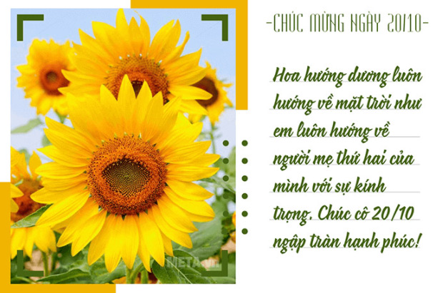 Thiệp chúc mừng 20/10 cho cô giáo 2