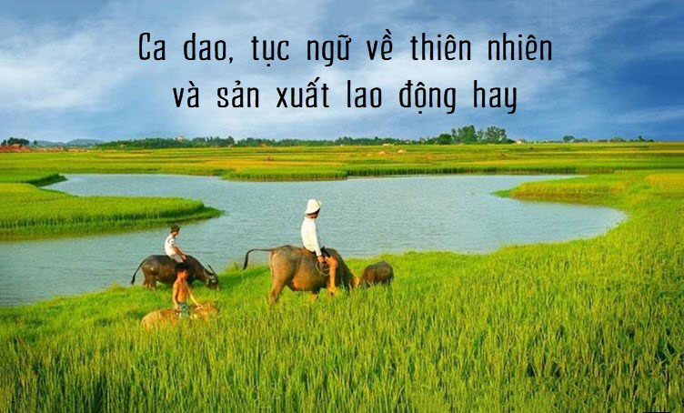 Những câu ca dao tục ngữ về thiên nhiên và lao động sản xuất