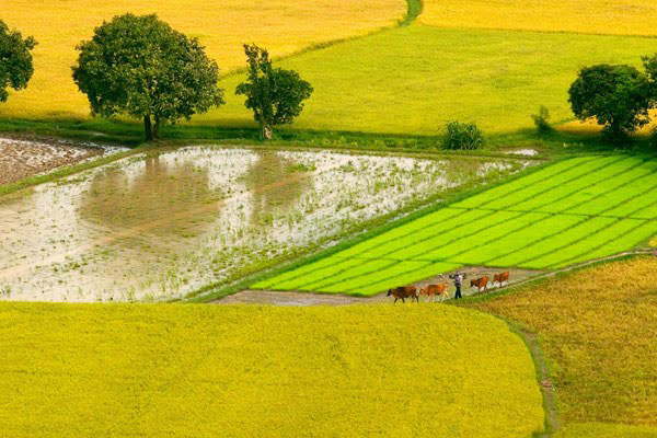 Những câu ca dao tục ngữ về thiên nhiên