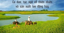Những câu ca dao tục ngữ nói về thiên nhiên và lao động sản xuất