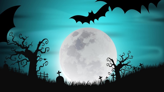 Hình ảnh con dơi Halloween