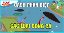 Cách phân biệt các loại bóng cá trong Play Together