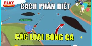 Cách phân biệt các loại bóng cá trong Play Together