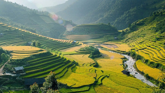 Ca dao thể hiện tình yêu quê hương đất nước