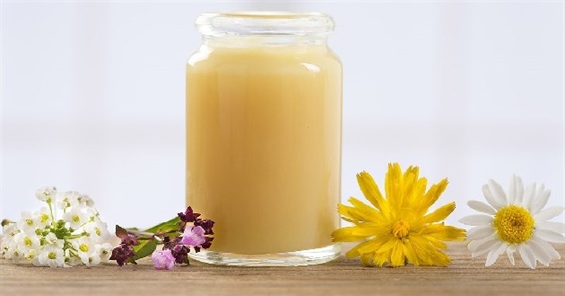 Sữa ong chúa có tác dụng gì? Cách sử dụng sữa ong chúa hiệu quả nhất