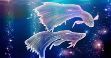 Song Ngư là tháng mấy, hợp với cung nào? Tính cách cung Song Ngư