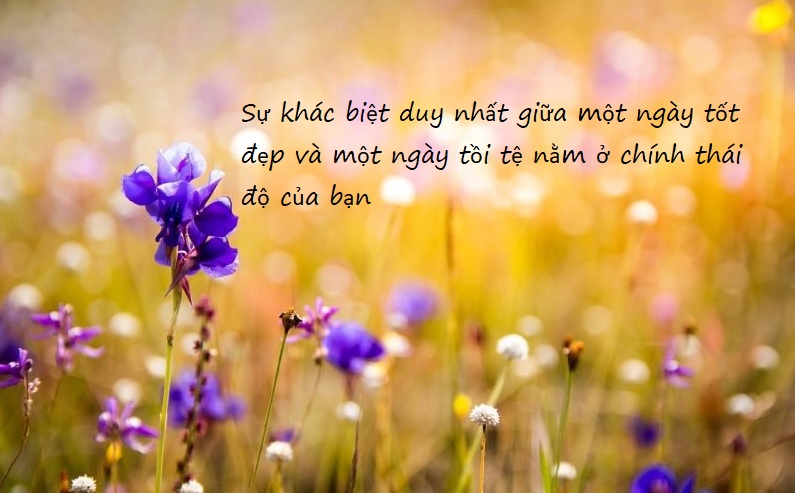 Những câu cap tiểu sử Facebook hay Những câu cap tiểu sử Facebook hay