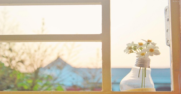 Những câu cap tiểu sử Facebook hay Những câu cap tiểu sử Facebook hay