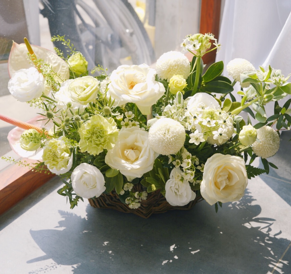 Hoa hồng trắng Hoa hồng trắng