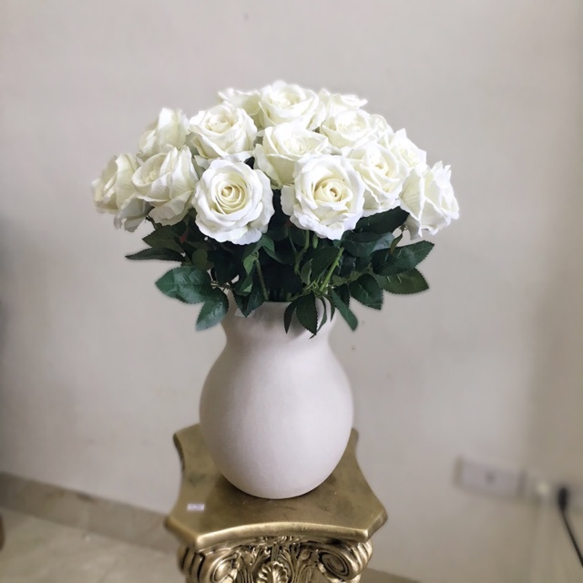 Hoa hồng trắng Hoa hồng trắng