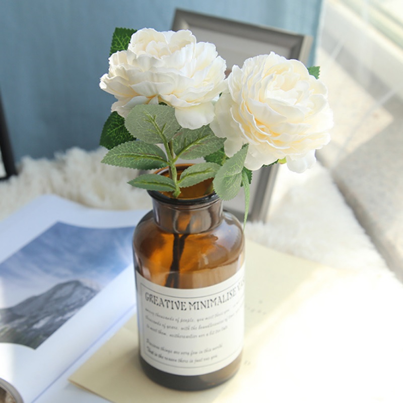 Hoa hồng trắng Hoa hồng trắng