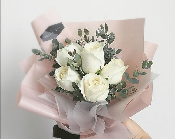 Hoa hồng trắng Hoa hồng trắng