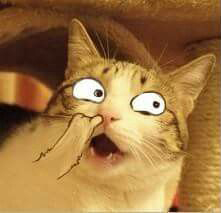 Ảnh chế mèo hài hước 2 Ảnh chế mèo hài hước 2