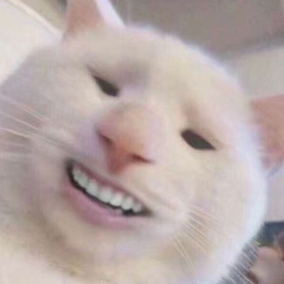 Ảnh chế mèo hài hước 12 Ảnh chế mèo hài hước 12