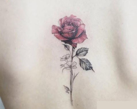 Những hình xăm hoa hồng ở lưng cho nữ