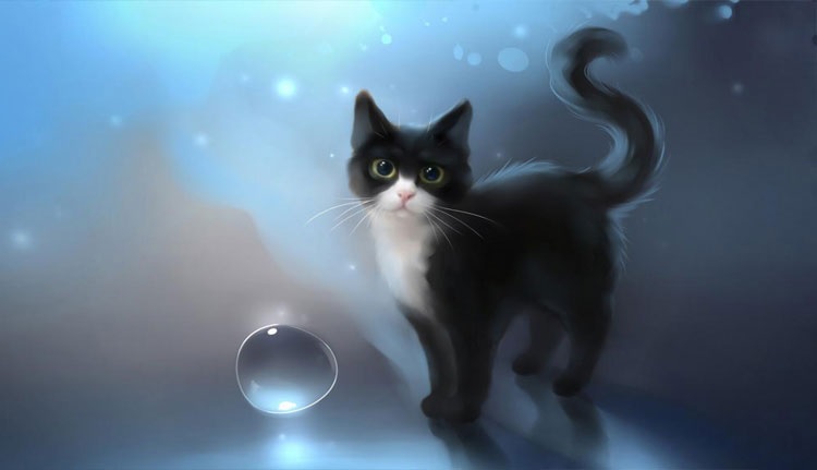 hình ảnh con mèo 3D đẹp