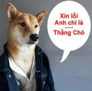Ảnh chó hài hước