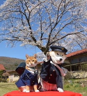 Hình nền chó mèo dễ thương