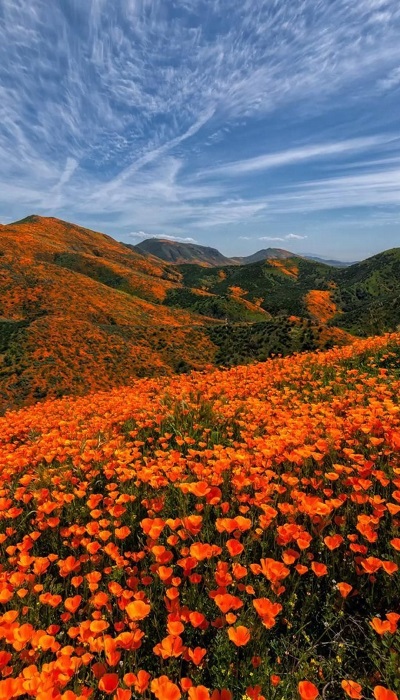 Hình nền 3D 4K cho điện thoại Hình nền 3D 4K cho điện thoại