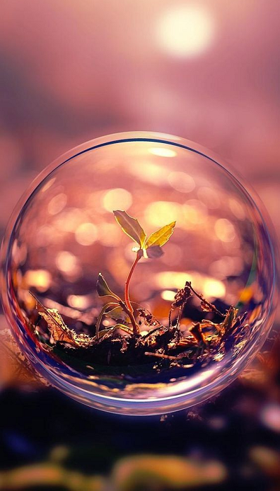 Hình nền điện thoại 3D Hình nền điện thoại 3D