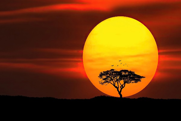 Hình nền hoàng hôn 4K đẹp Hình nền hoàng hôn 4K đẹp