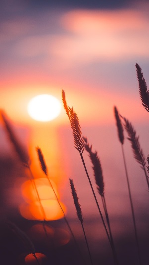 Hình nền phong cảnh hoàng hôn buồn Hình nền phong cảnh hoàng hôn buồn