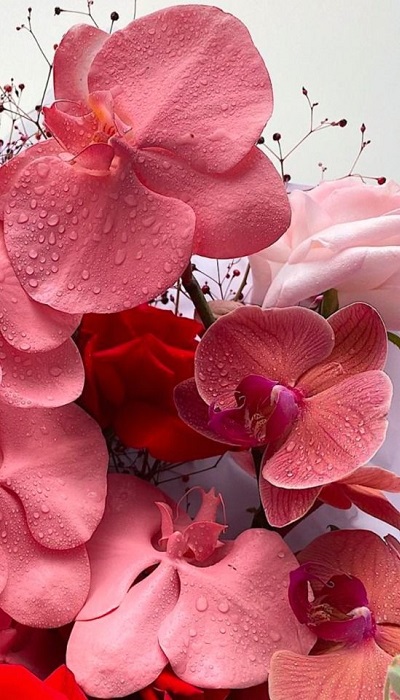 Hình nền 3D Full HD cho điện thoại