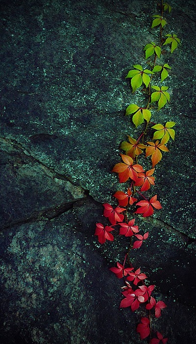 Hình nền 3D Full HD cho điện thoại