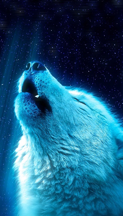 Hình nền 3D Full HD cho điện thoại